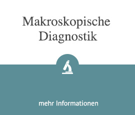Makroskopische Diagnostik